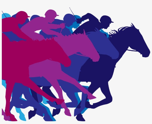 More information on RS700 Nationals’ Form Guide Out Now! And Rooster National Tour results too!